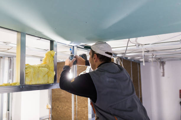 Best Insulation for Specific Applications in Raymondville, TX