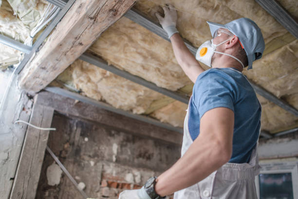 Best Types of Insulation in Raymondville, TX